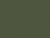 2010082439478448-jalapeno