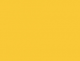 2010082440608022-lemon-drop